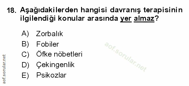 Soru 18