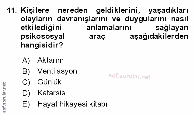 Soru 11