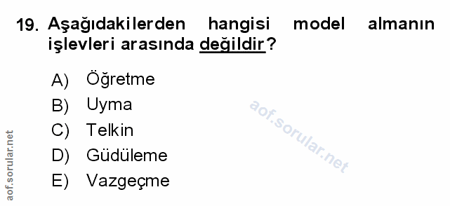 Soru 19