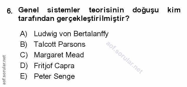 Soru 6