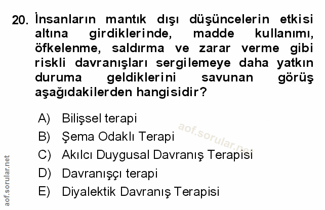 Soru 20