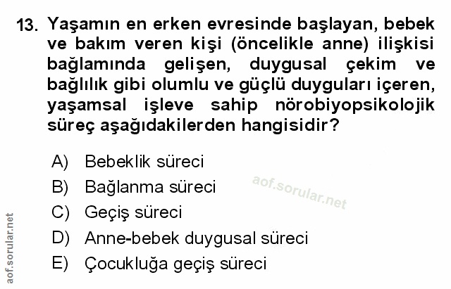 Soru 13