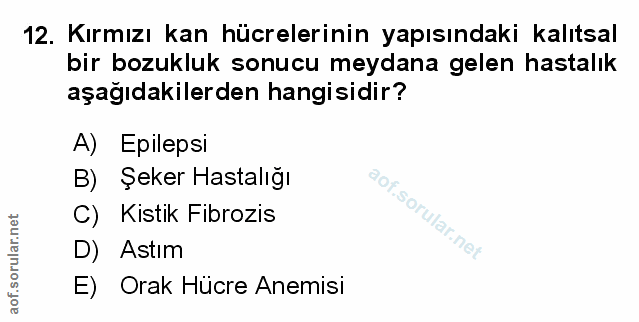 Soru 12