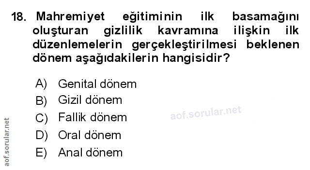 Soru 18