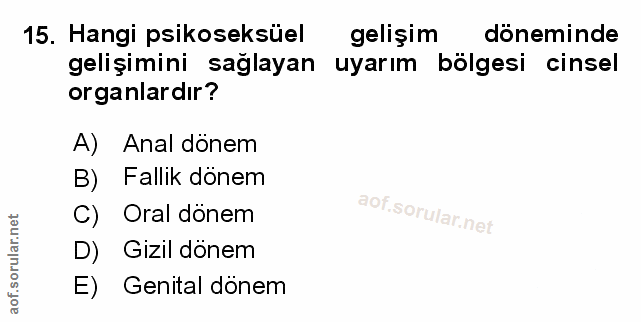 Soru 15
