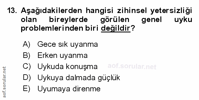 Soru 13