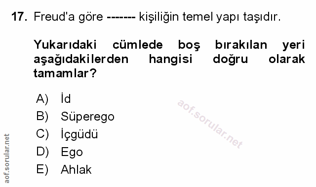 Soru 17