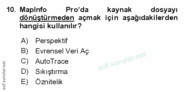 Soru 10