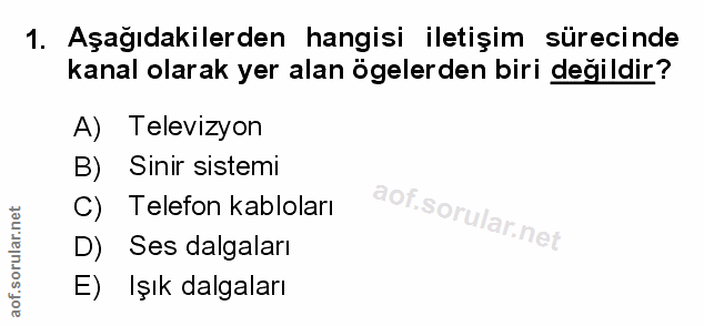 Soru 1