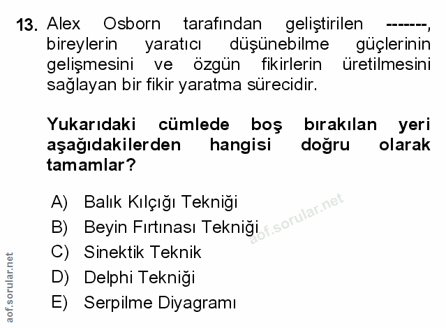 Soru 13