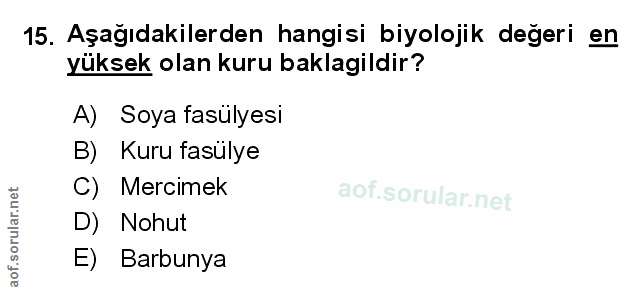 Soru 15