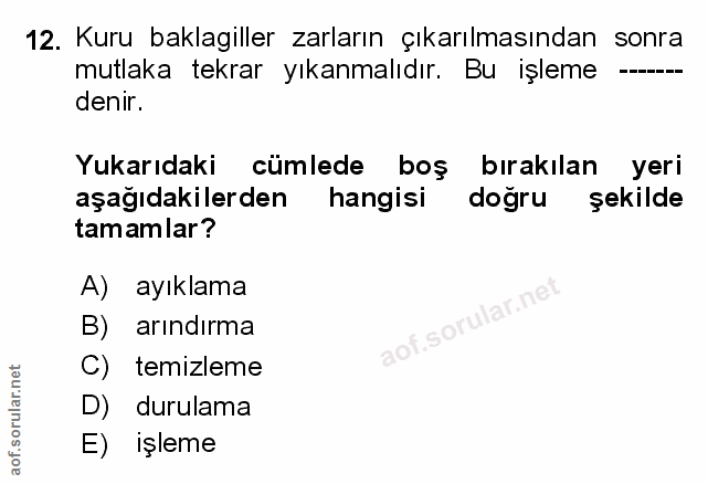 Soru 12