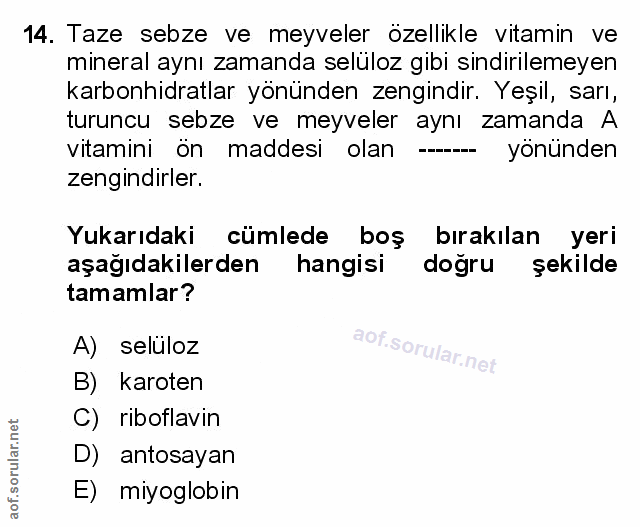 Soru 14