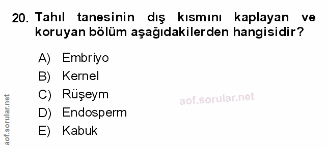 Soru 20