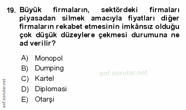 Soru 19