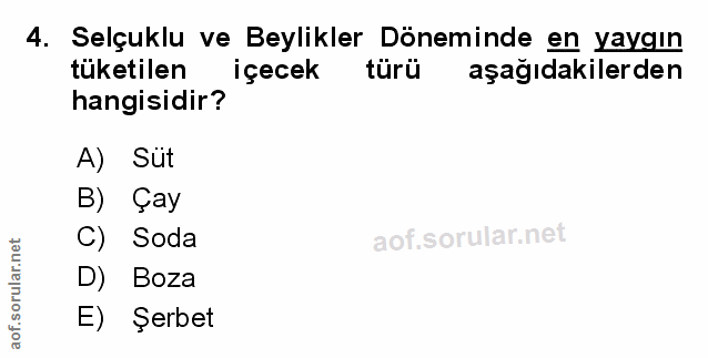 Soru 4