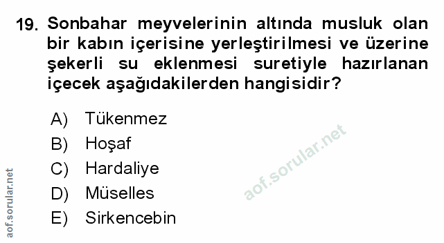 Soru 19