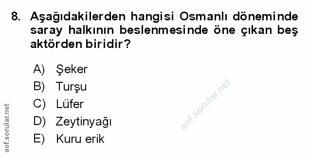 Soru 8