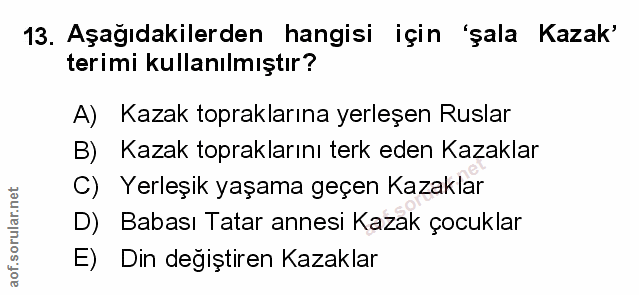 Soru 13