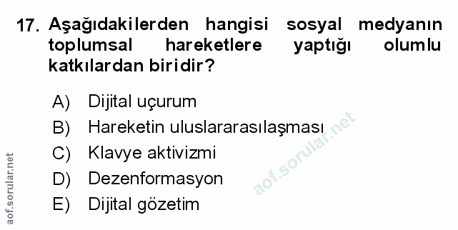 Soru 17