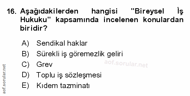 Soru 16
