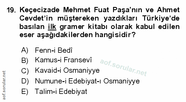 Soru 19