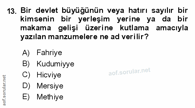 Soru 13