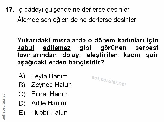 Soru 17