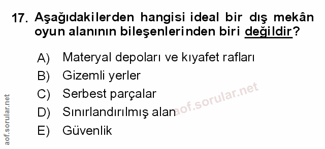 Soru 17