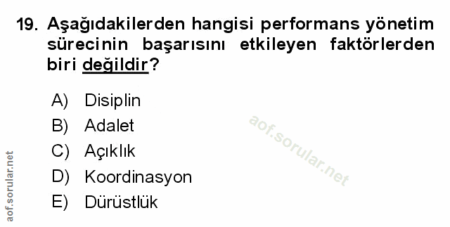 Soru 19