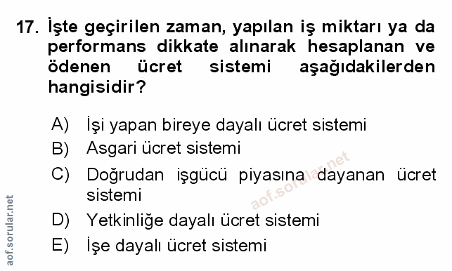 Soru 17