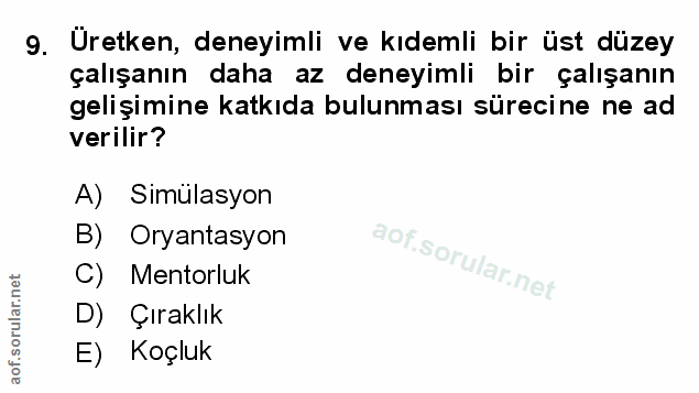 Soru 9