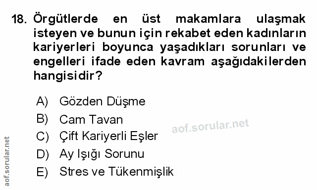 Soru 18