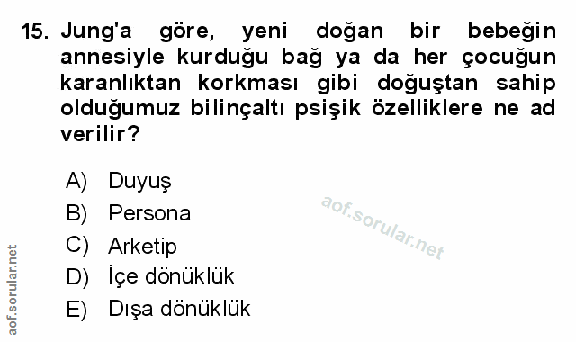 Soru 15