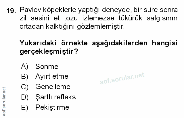 Soru 19