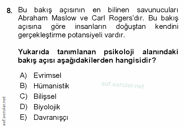 Soru 8