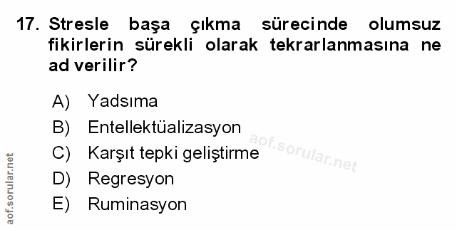Soru 17