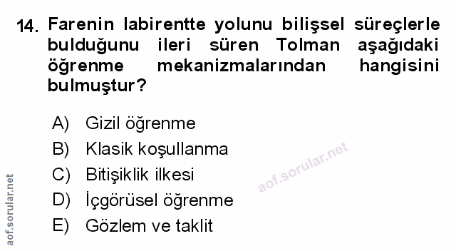 Soru 14