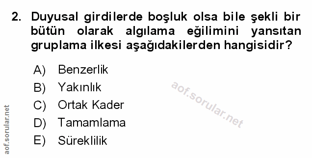 Soru 2