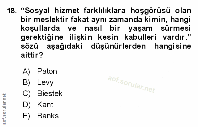 Soru 18