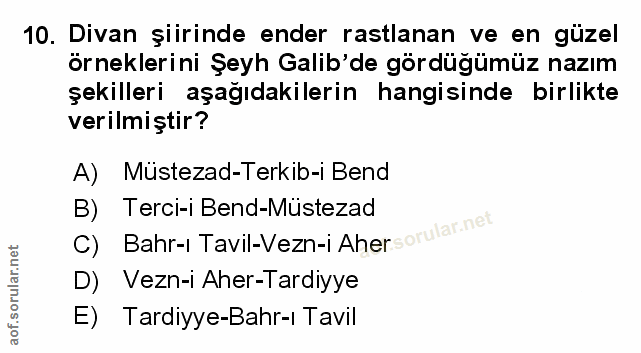 Soru 10