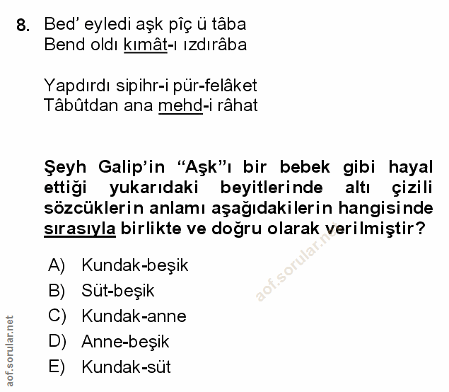 Soru 8