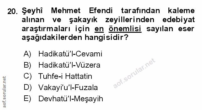 Soru 20