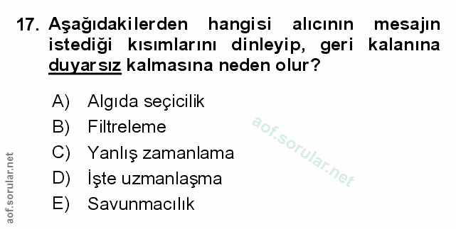 Soru 17