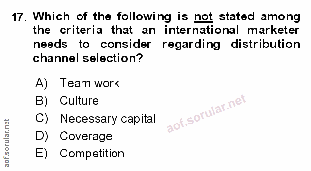 Soru 17