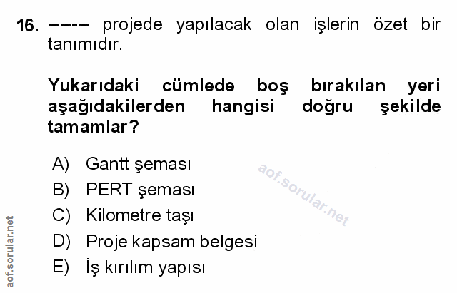 Soru 16