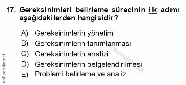 Soru 17