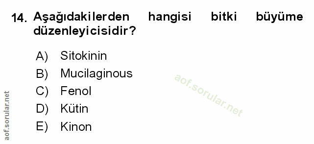 Soru 14