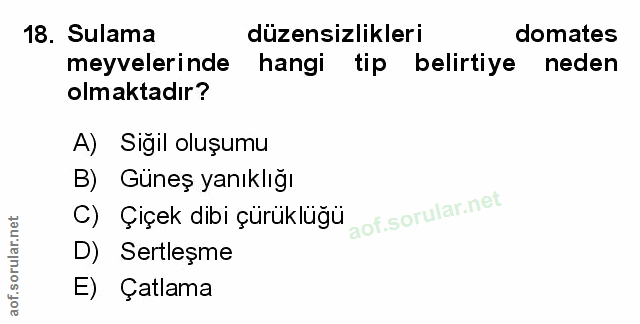 Soru 18