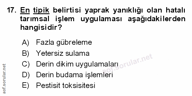 Soru 17
